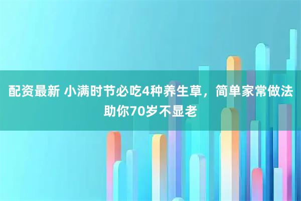 配资最新 小满时节必吃4种养生草，简单家常做法助你70岁不显老