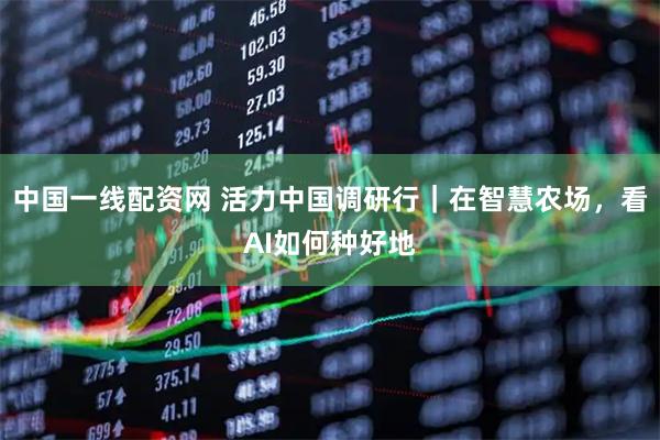 中国一线配资网 活力中国调研行｜在智慧农场，看AI如何种好地